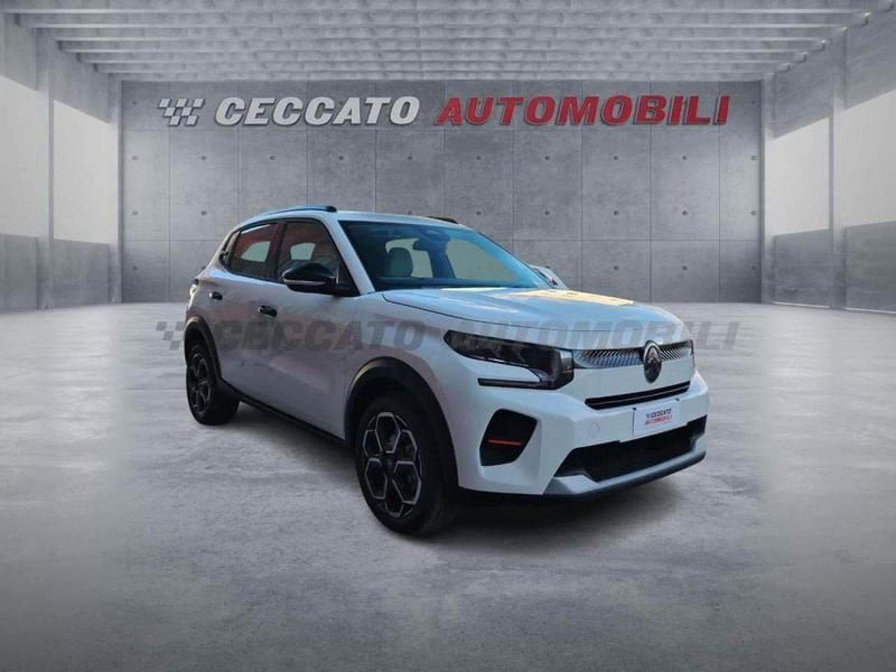 Citroën Citroën C3 usata 7