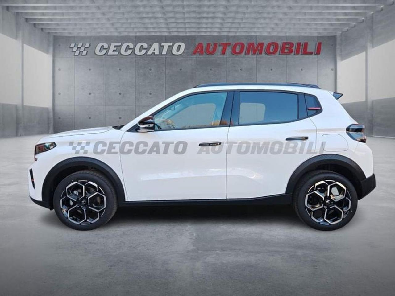 Citroën Citroën C3 usata 11