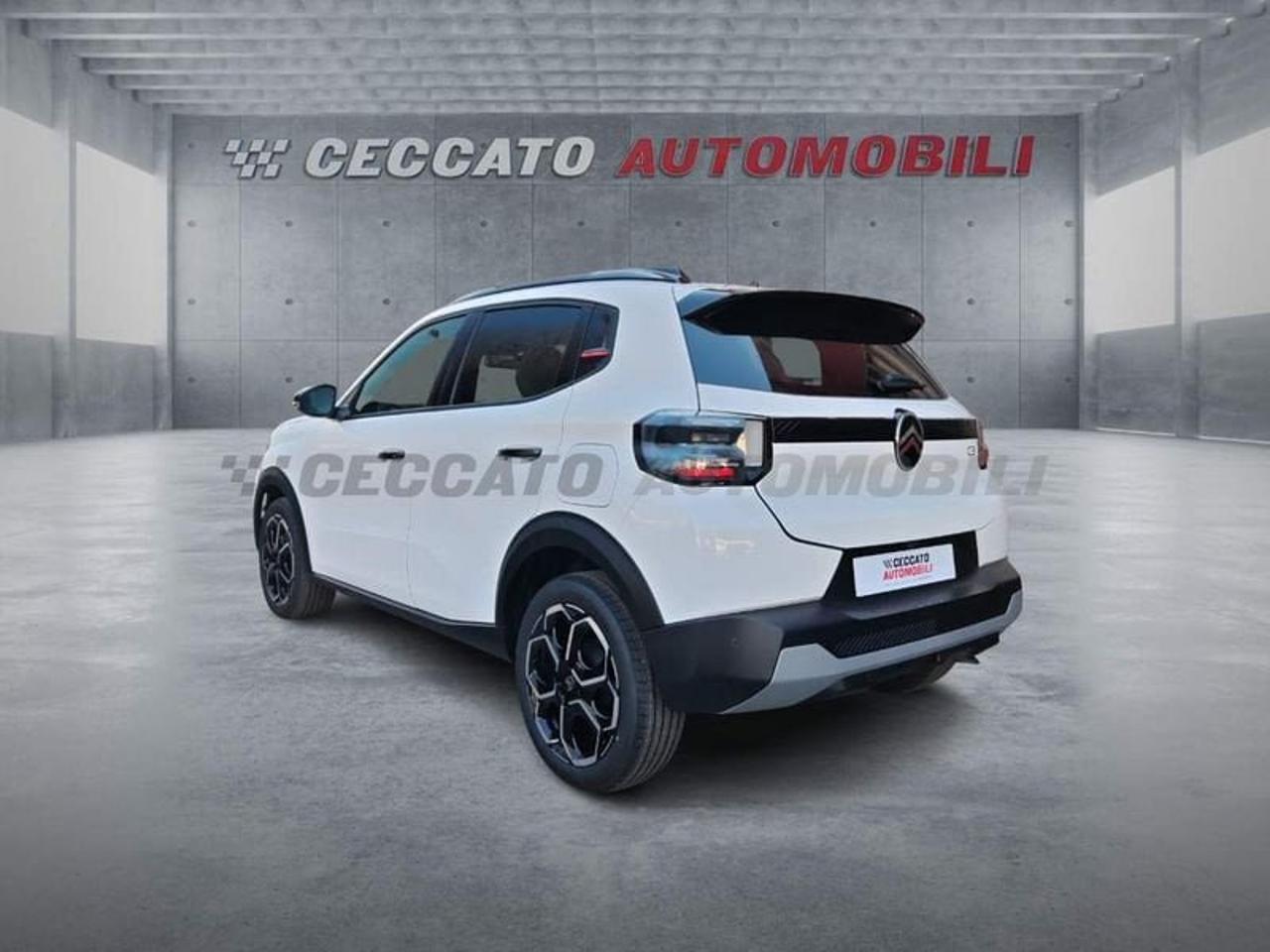 Citroën Citroën C3 usata 18