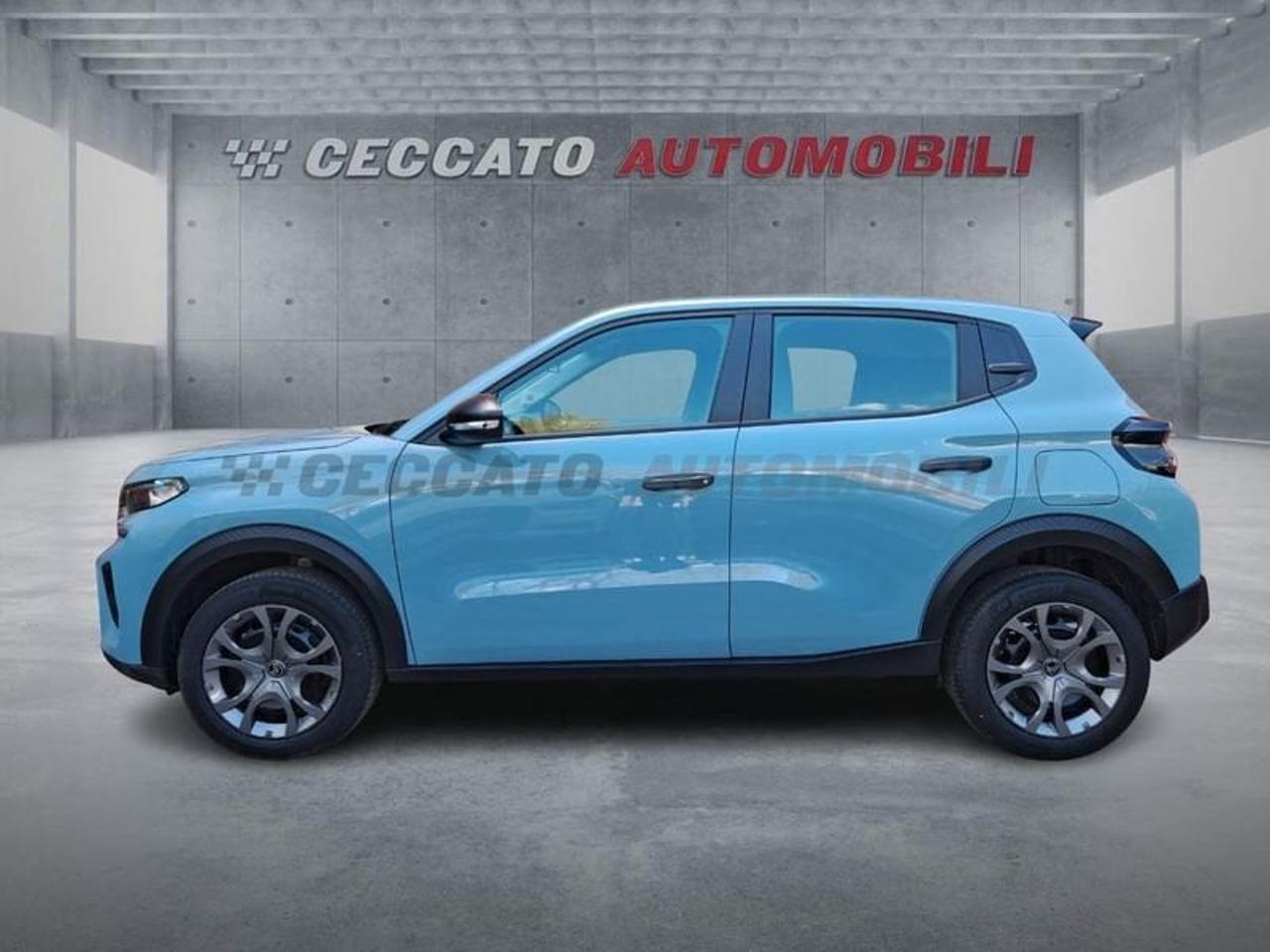 Citroën Citroën C3 usata 11