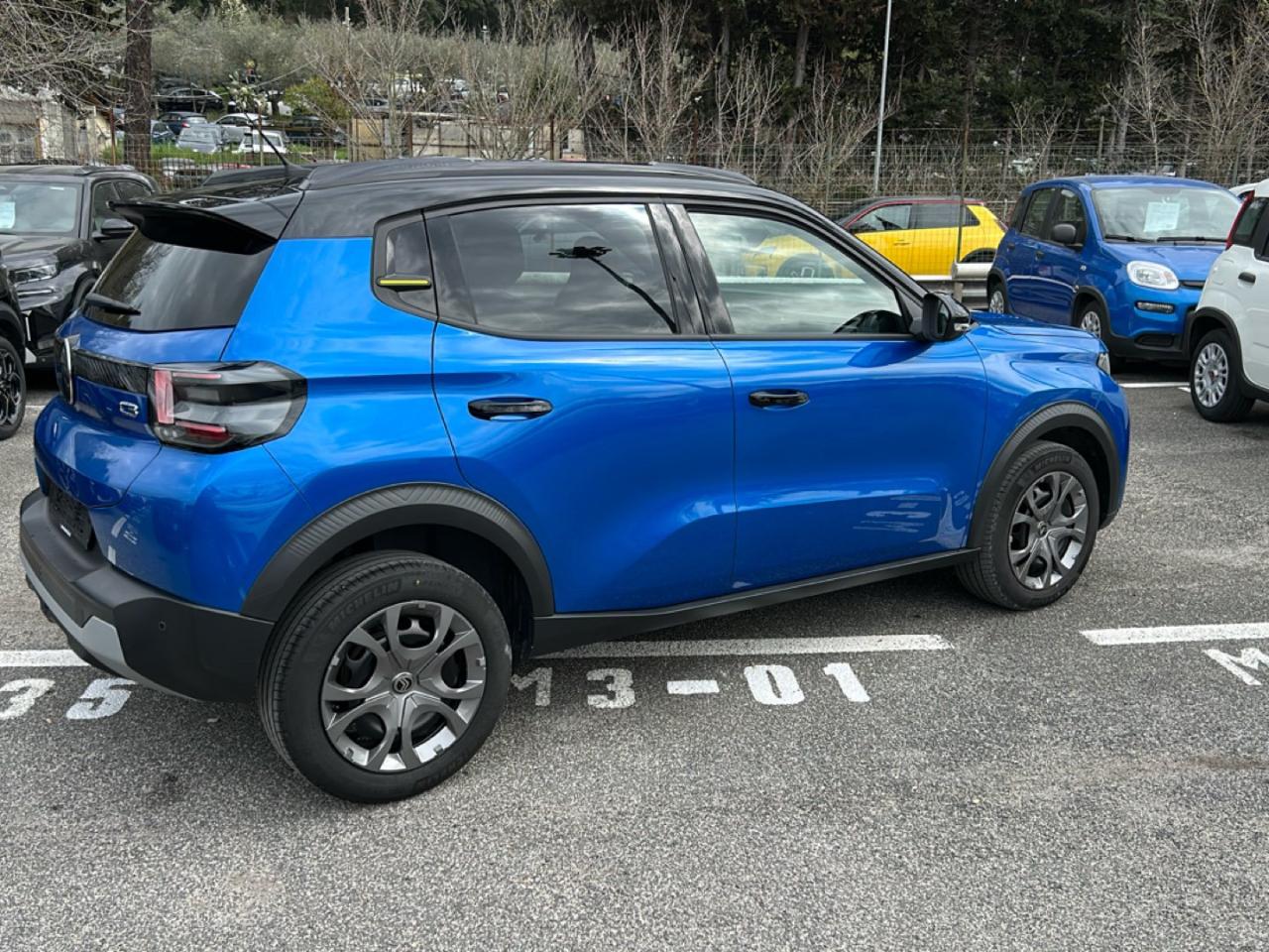 Citroën Citroën C3 usata 16