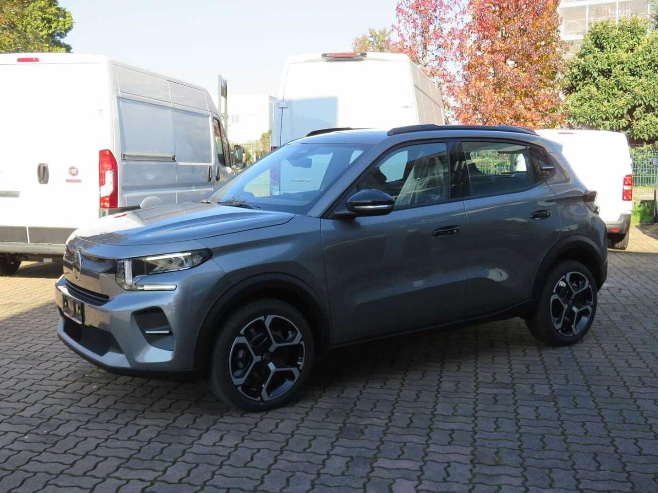 Citroën Citroën C3 usata 13