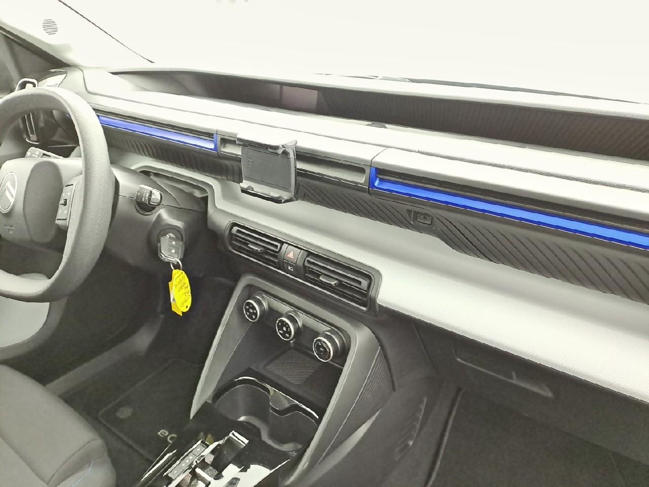 Citroën Citroën C3 usata 10