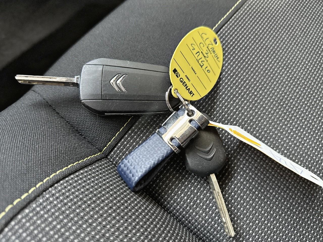 Citroën Citroën C3 usata 9