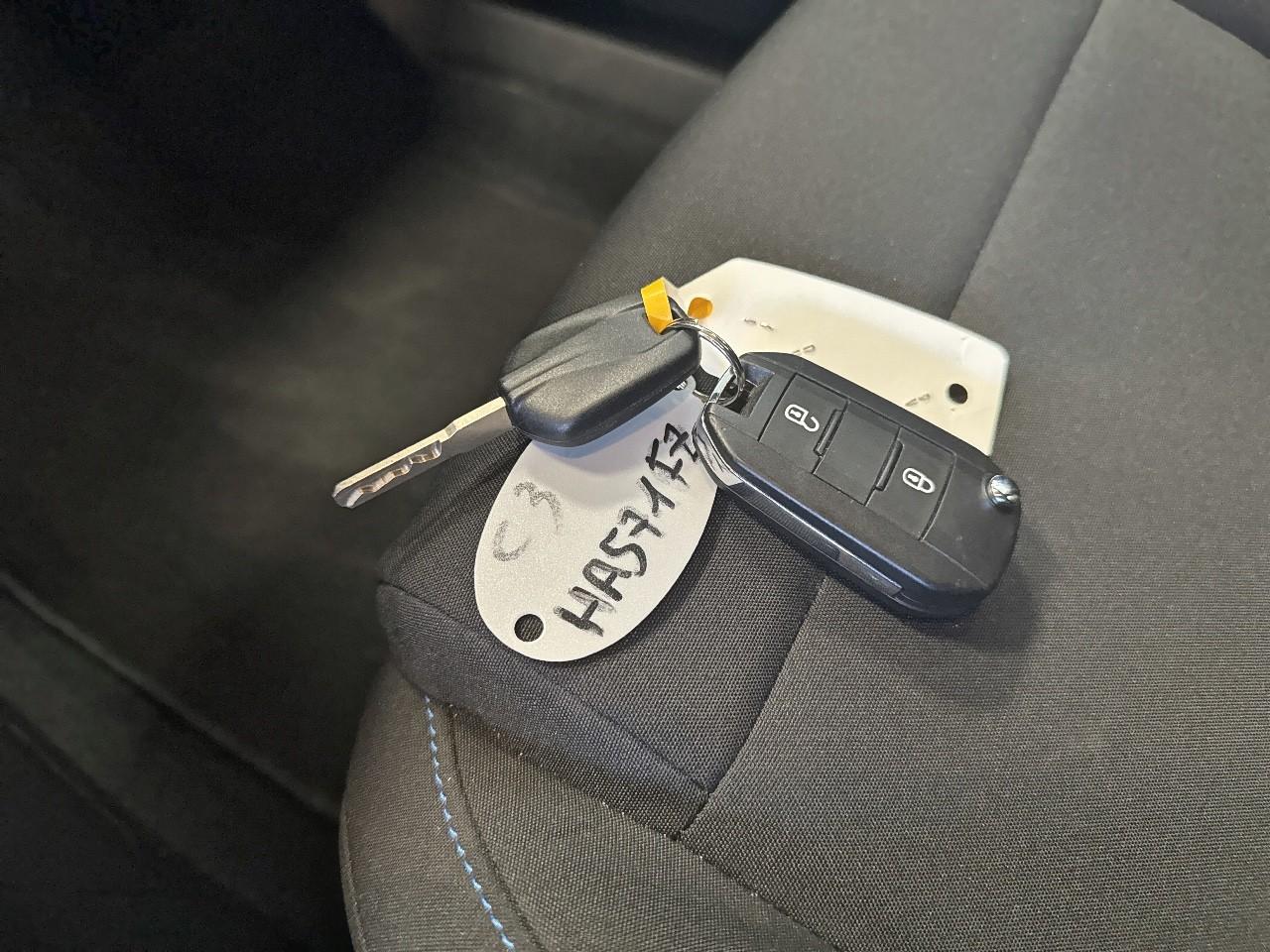Citroën Citroën C3 usata 12