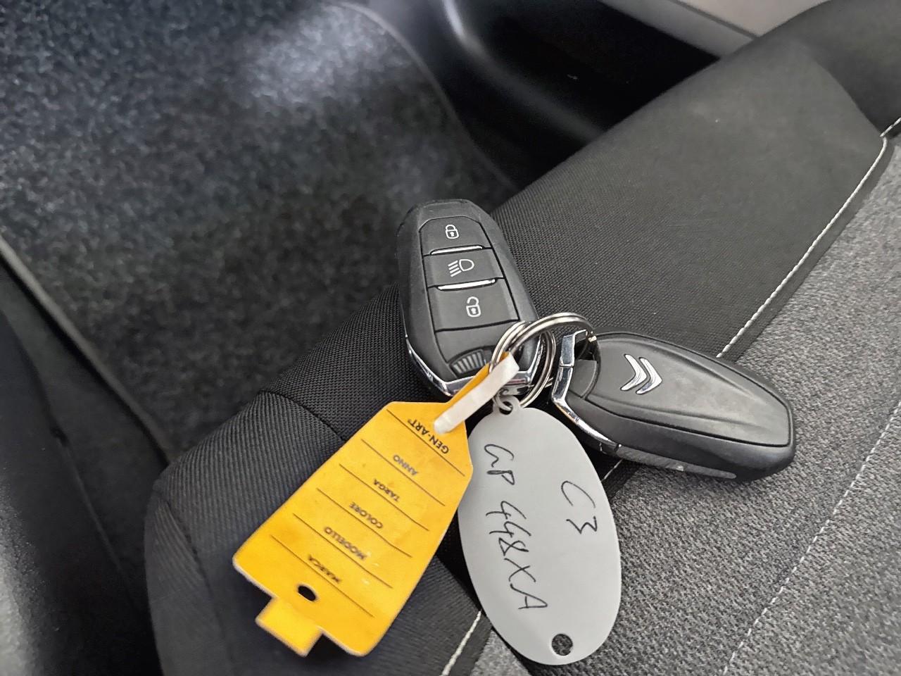 Citroën Citroën C3 usata 12