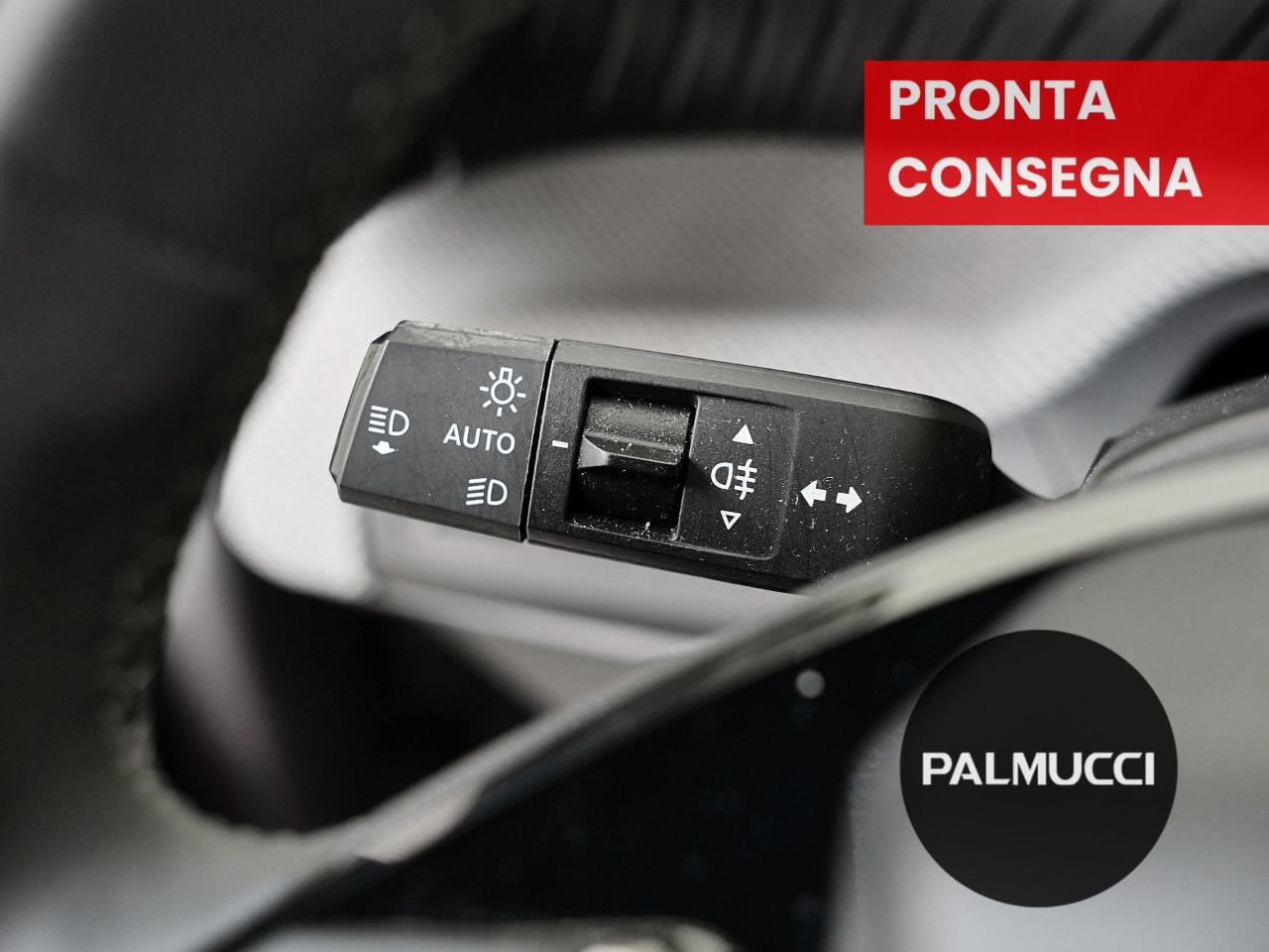 Citroën Citroën C3 usata 13