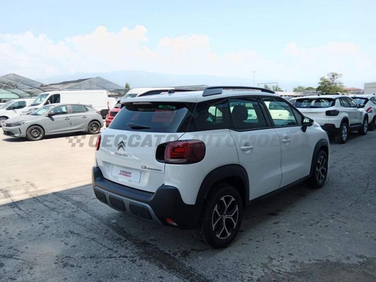 Citroën Citroën C3 Aircross usata 18