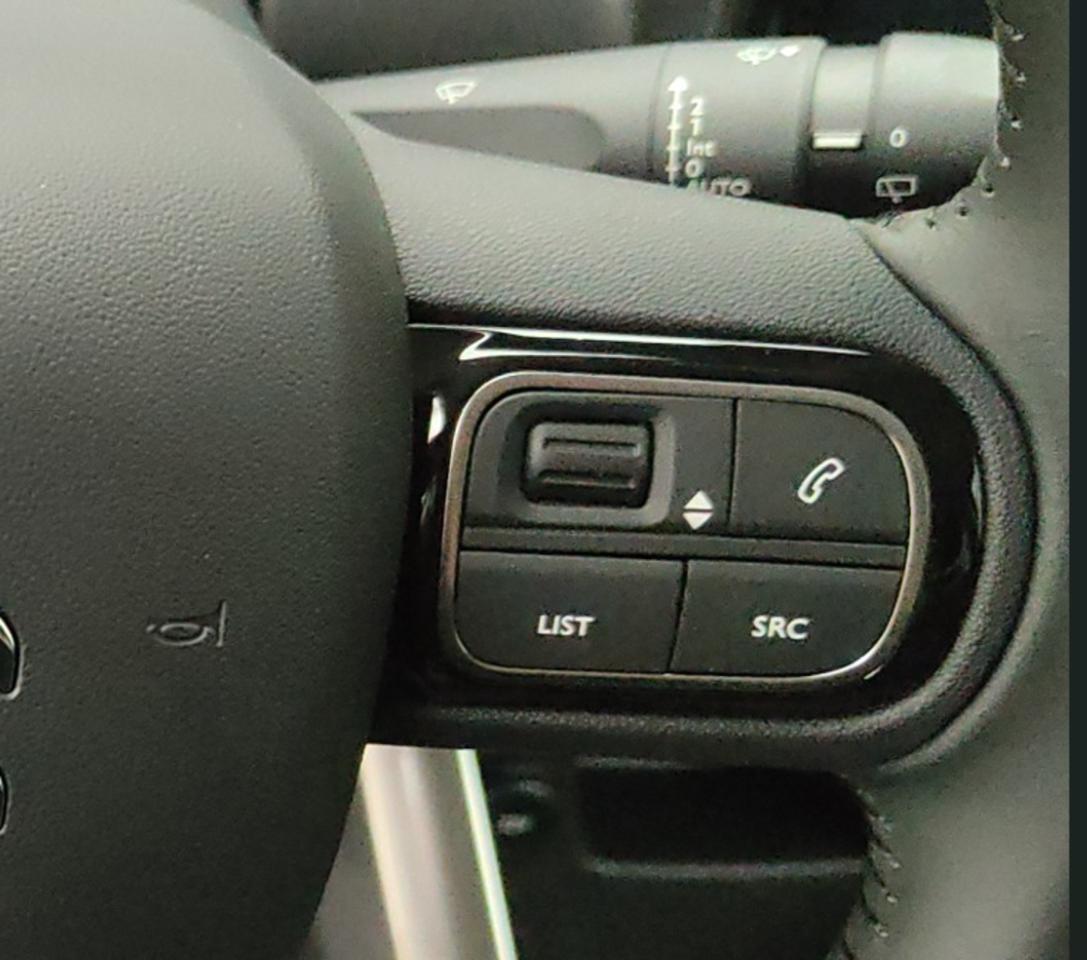 Citroën Citroën C3 Aircross usata 10