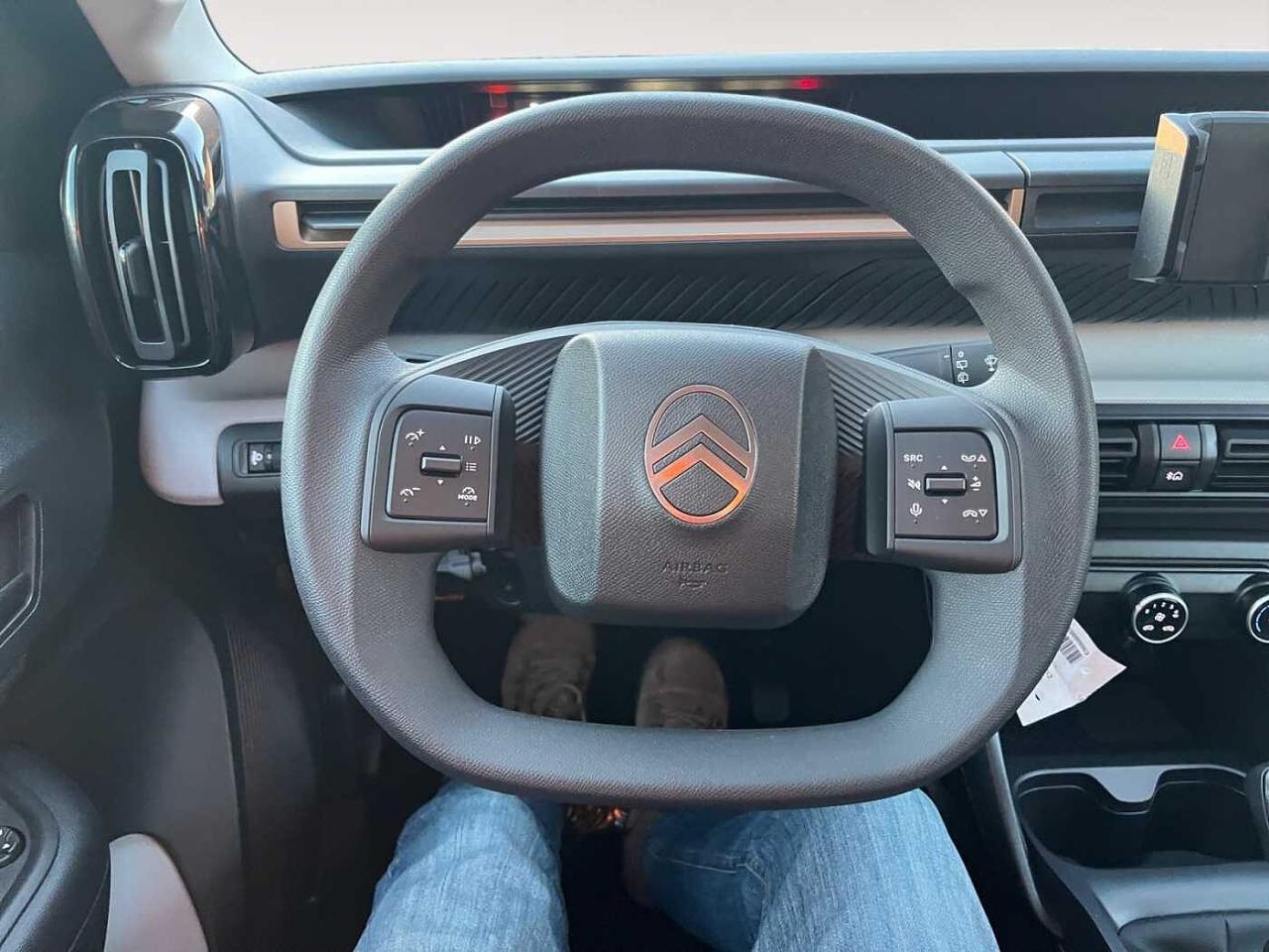 Citroën Citroën C3 Aircross usata 20