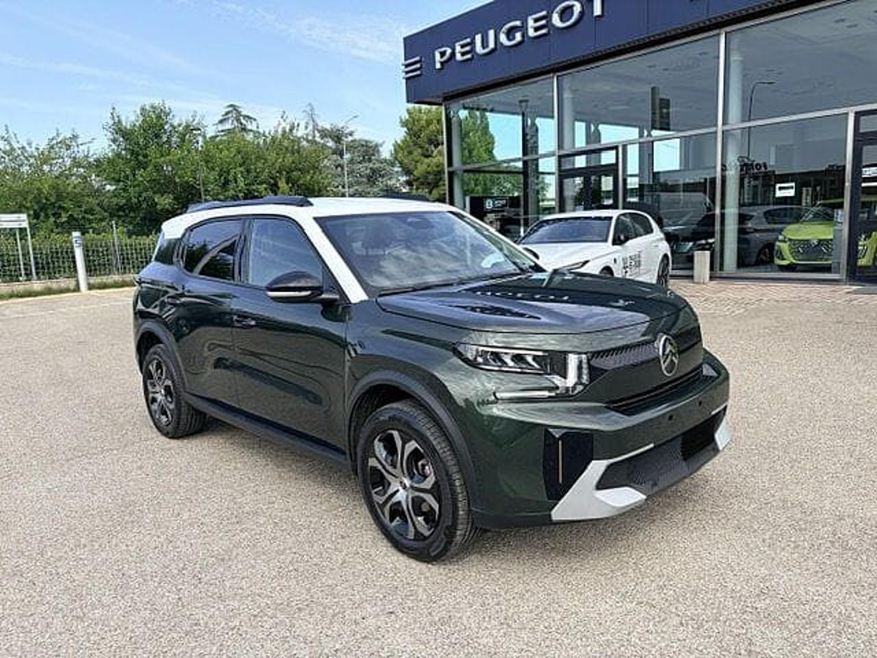 Citroën Citroën C3 Aircross usata 13