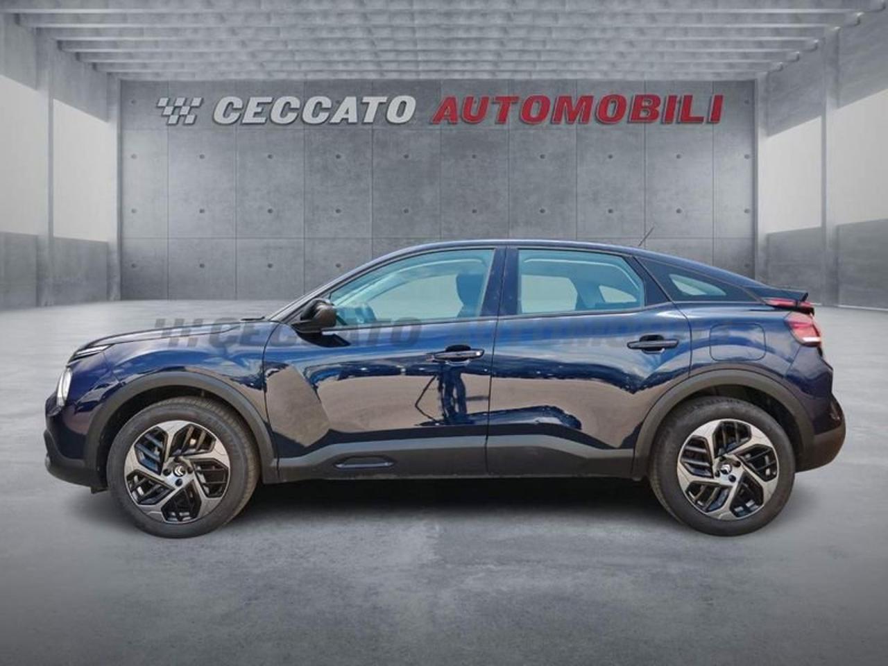 Citroën Citroën C4 usata 11