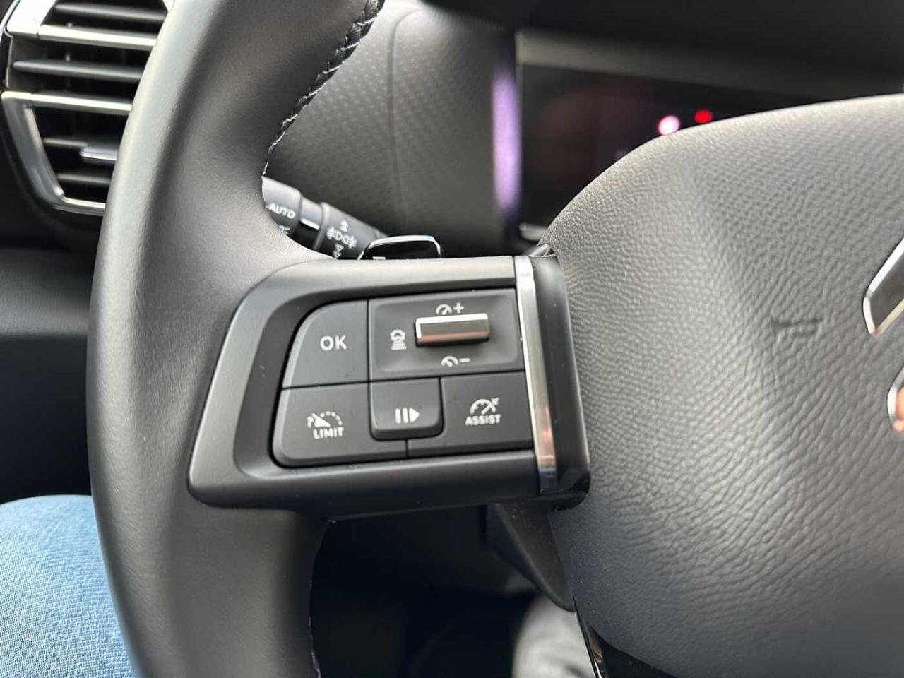 Citroën Citroën C4 usata 13