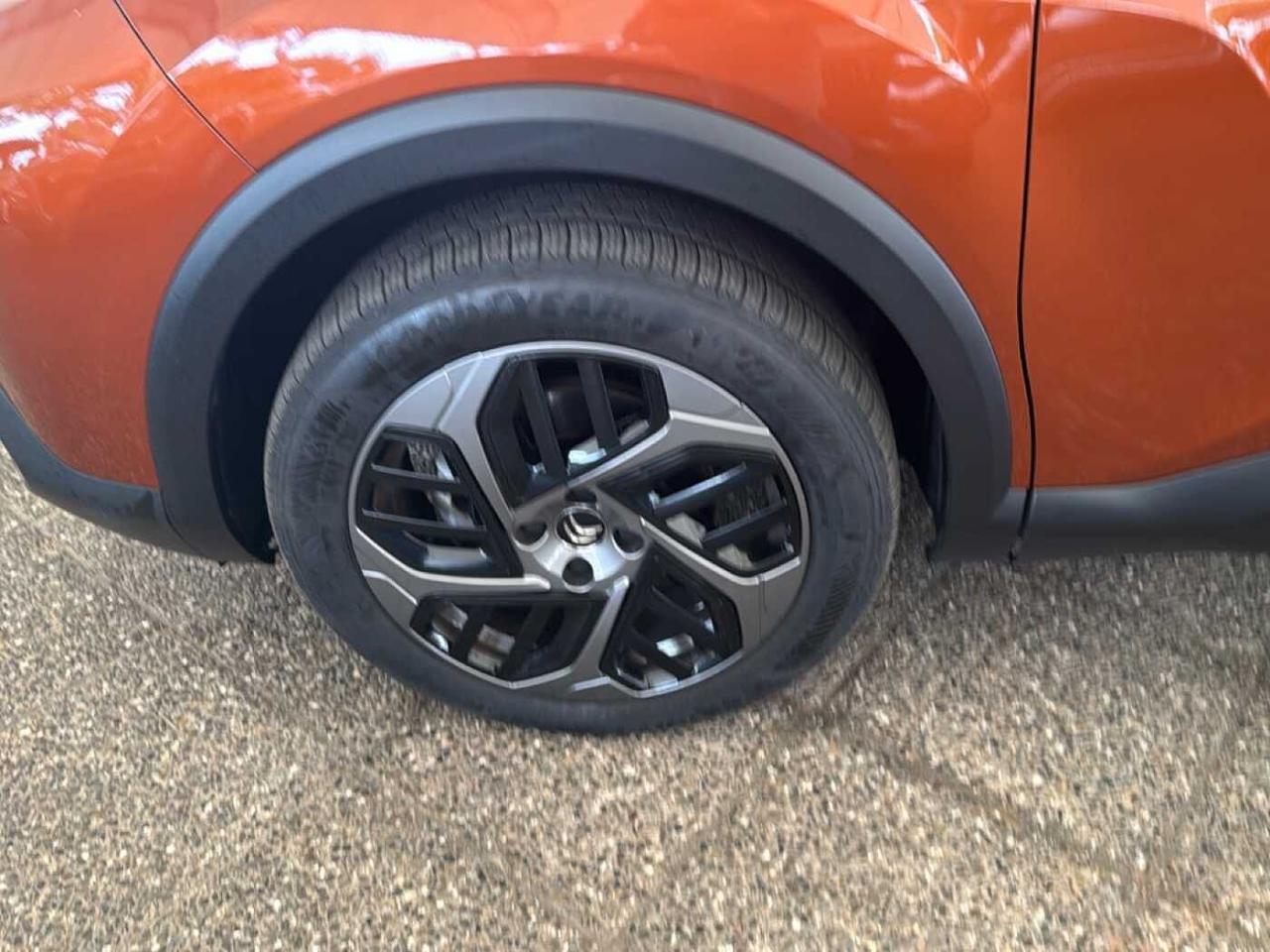 Citroën Citroën C4 usata 15