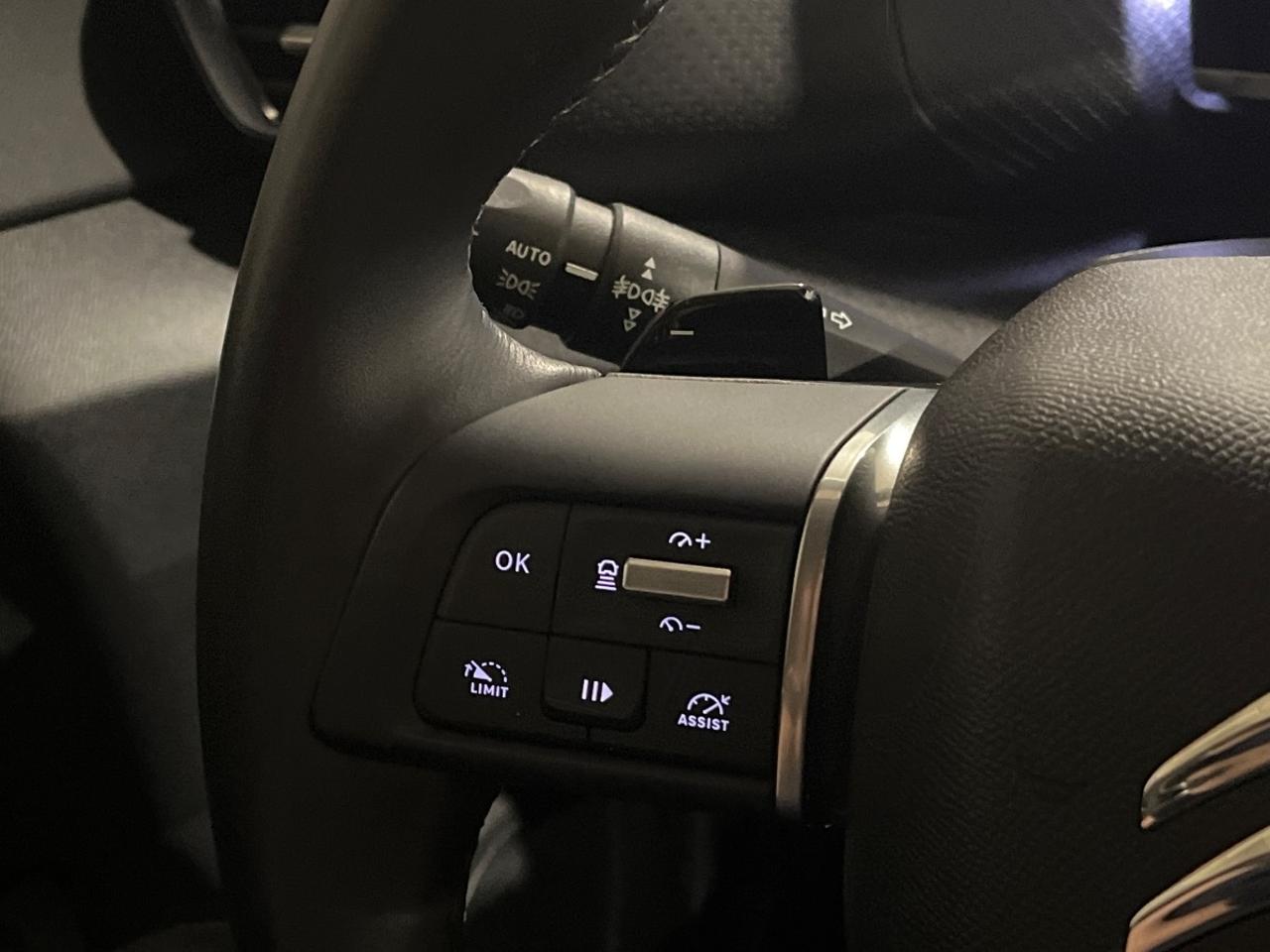 Citroën Citroën C4 usata 5