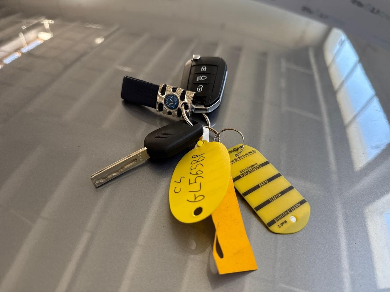 Citroën Citroën C4 usata 12
