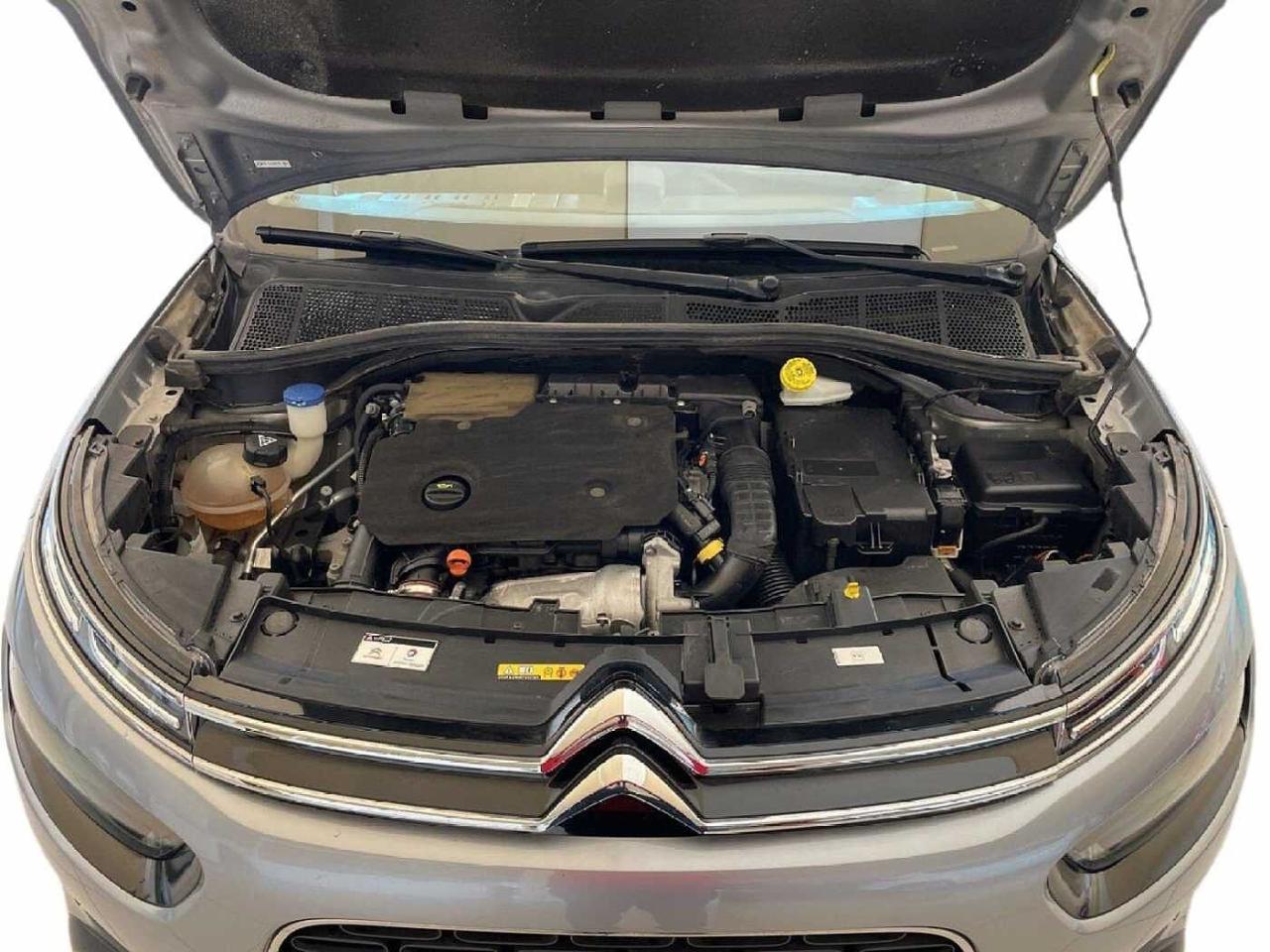 Citroën Citroën C4 Cactus usata, con abs