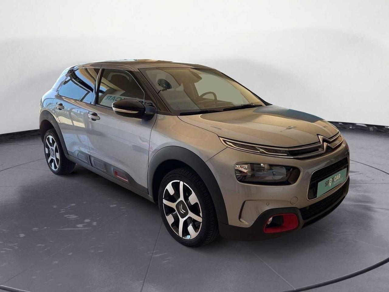 Citroën Citroën C4 Cactus usata 24