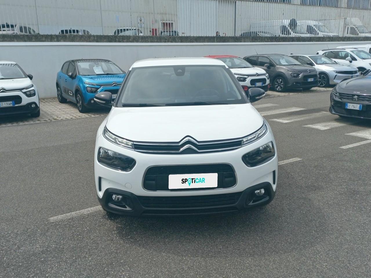 Citroën Citroën C4 Cactus usata, con antenna