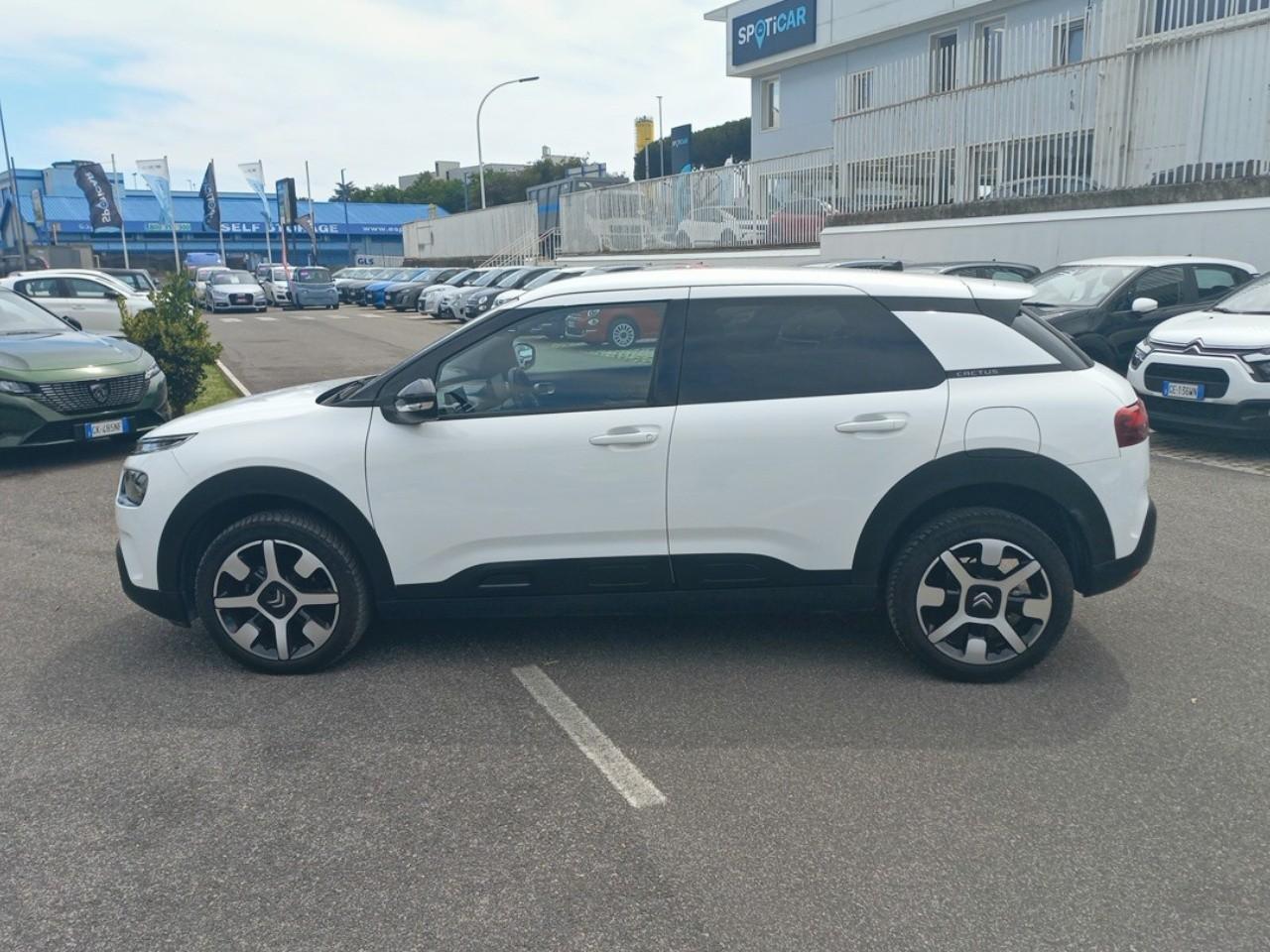 Citroën Citroën C4 Cactus usata, con cinture sicurezza post. conducente, cinture sicurezza post. passeggero, cinture sicurezza post. centrale a 3 punti