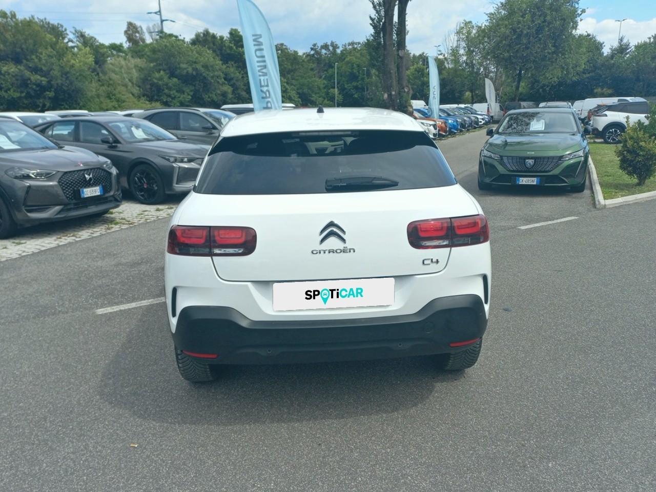 Citroën Citroën C4 Cactus usata, con climatizzatore a controllo automatico