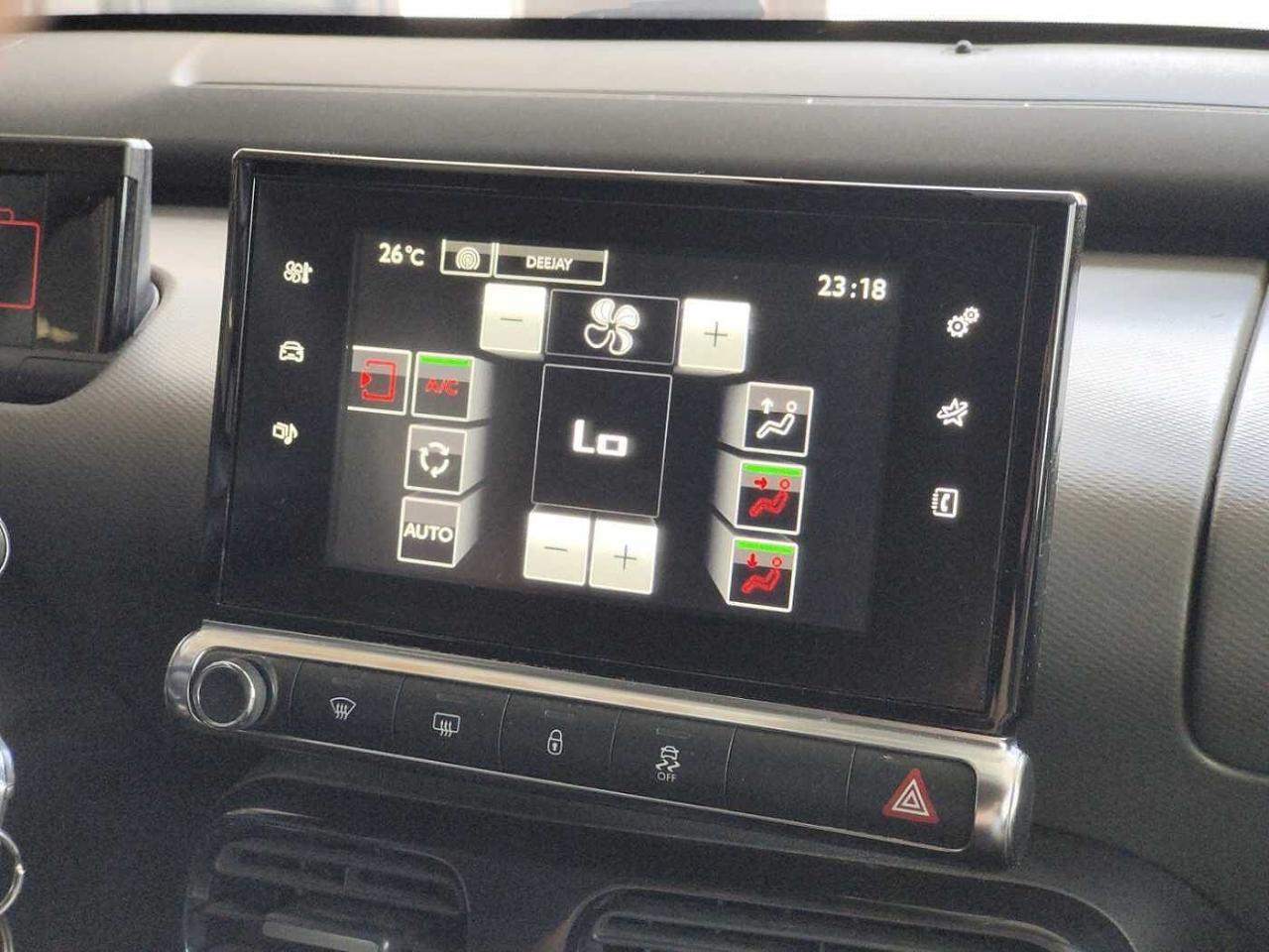 Citroën Citroën C4 Cactus usata 15