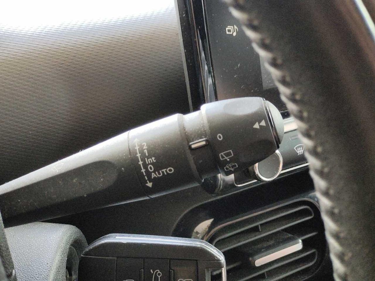 Citroën Citroën C4 Cactus usata 19
