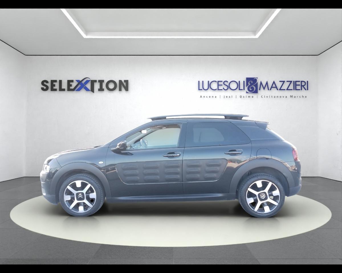 Citroën Citroën C4 Cactus usata, con portapacchi