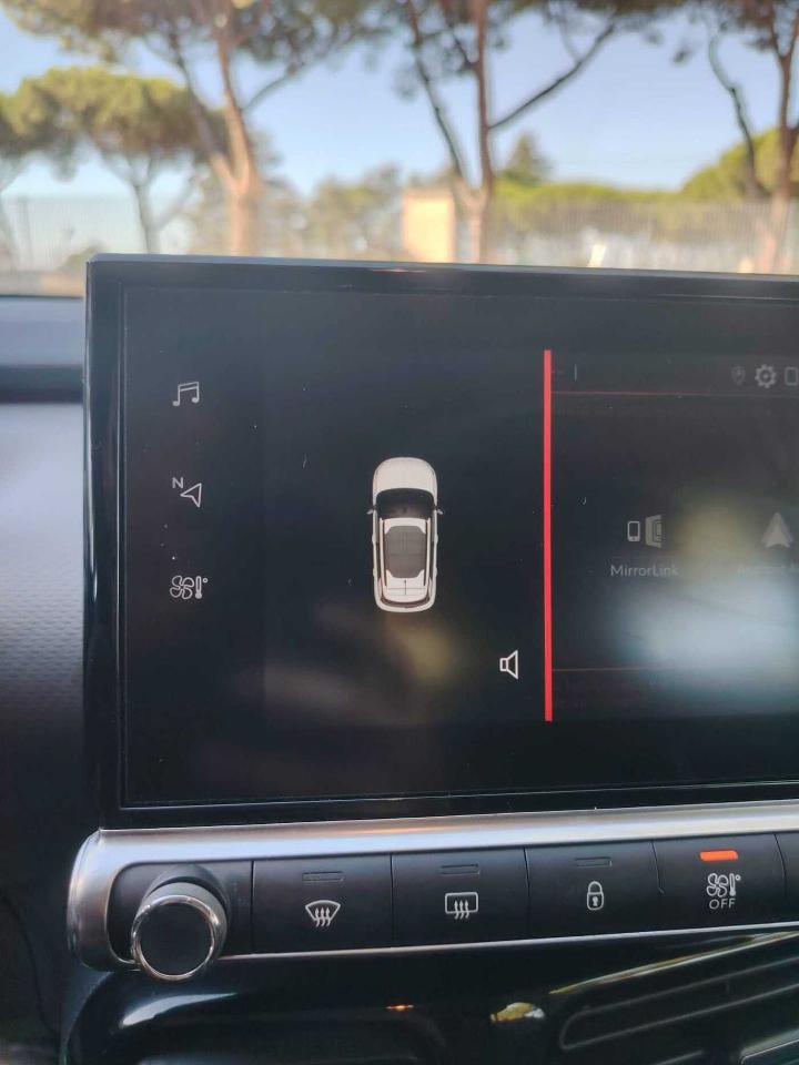 Citroën Citroën C4 Cactus usata, con airbag a tendina e laterali