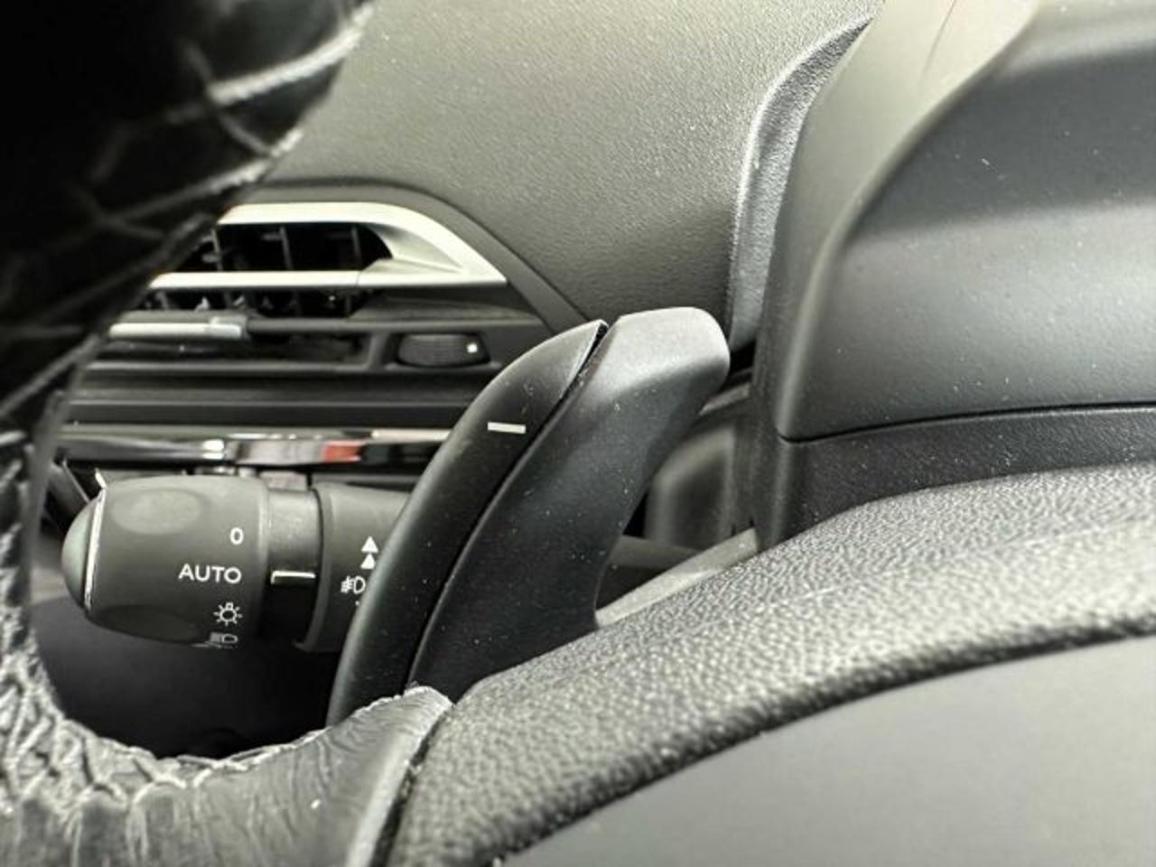 Citroën Citroën C4 SpaceTourer usata 21