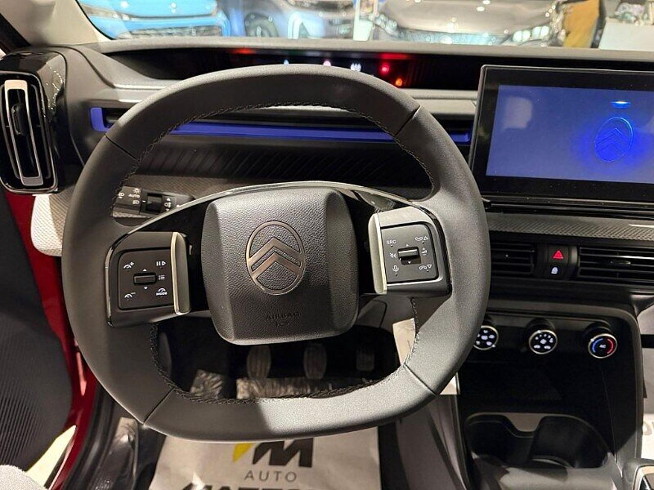 Citroën Citroën C5 usata 3