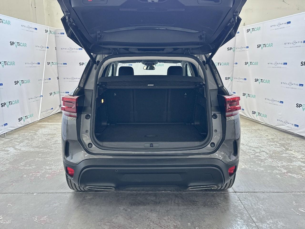 Citroën Citroën C5 Aircross usata 18
