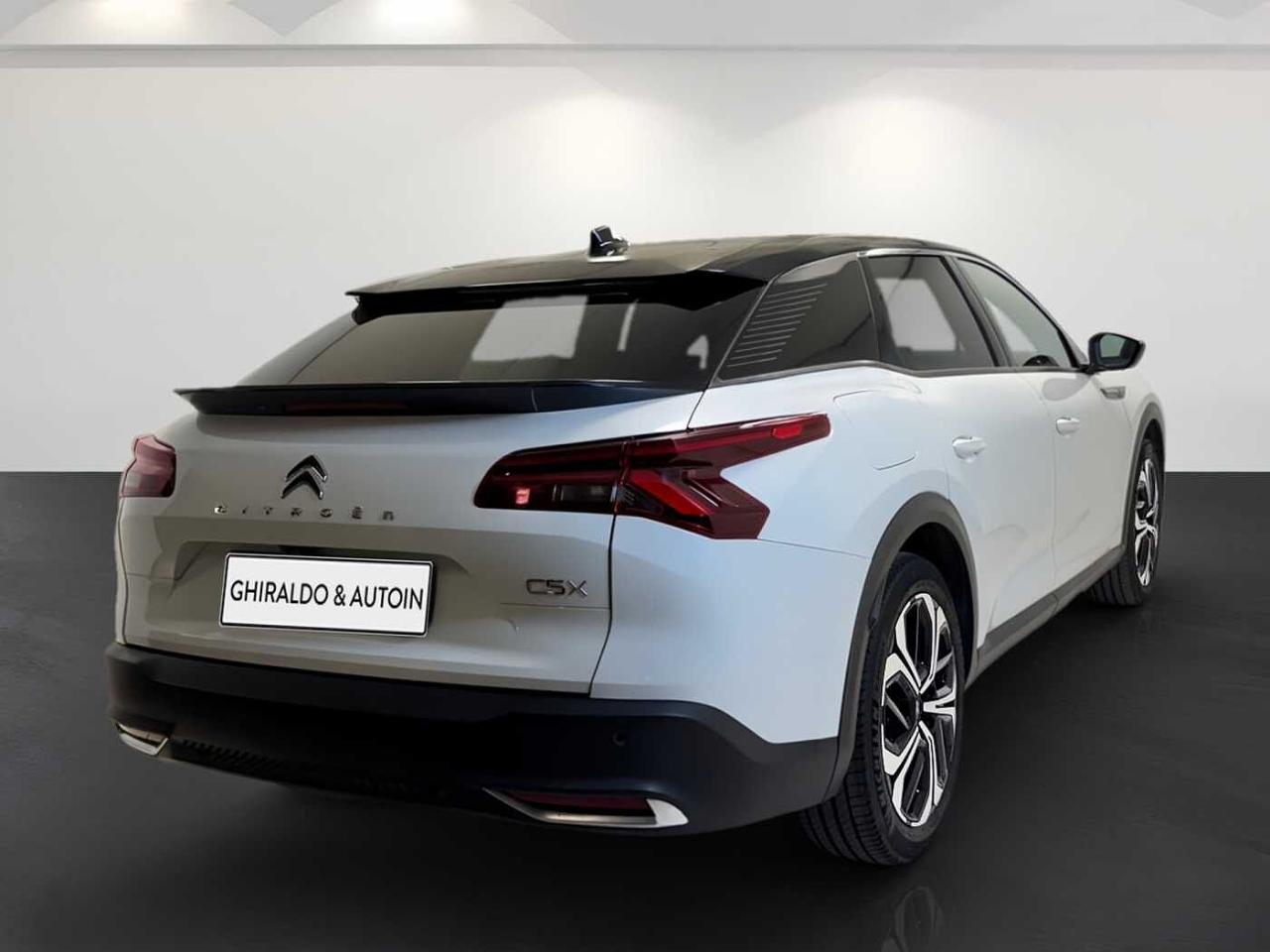 Citroën Citroën C5 usata, con rilevazione dei segnali stradali