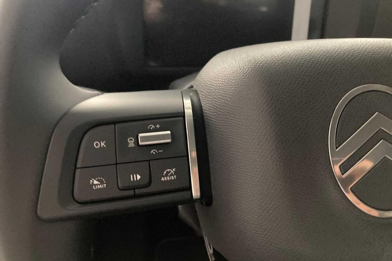 Citroën Citroën C4 usata 13