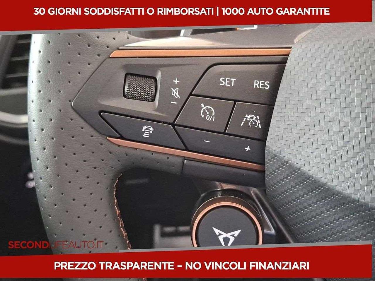 Cupra Cupra Ateca usata 19