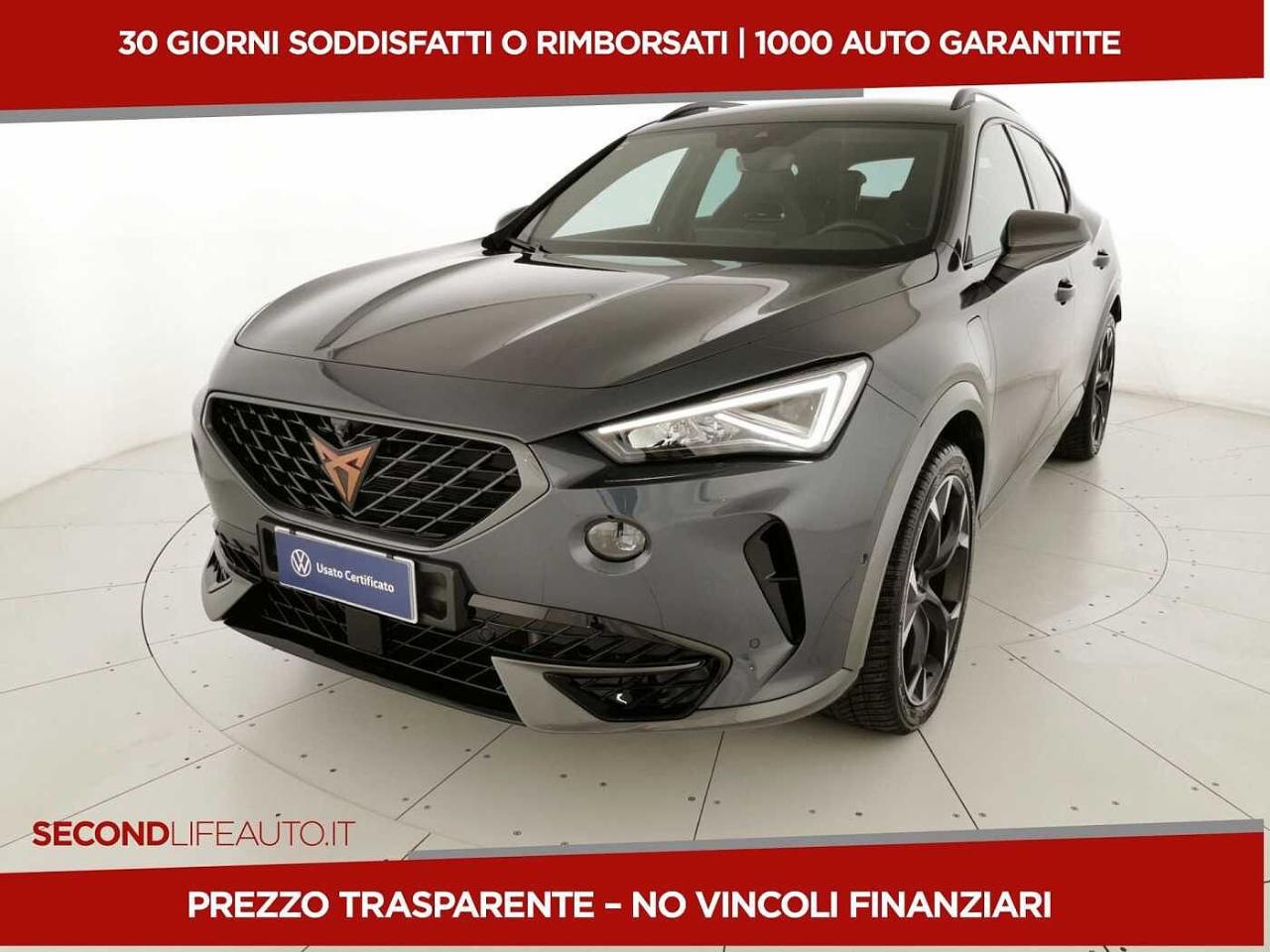 Cupra Cupra Formentor usata 16