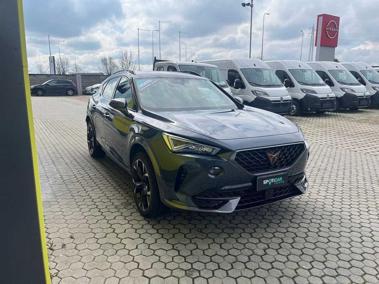 Cupra Cupra Formentor usata 22