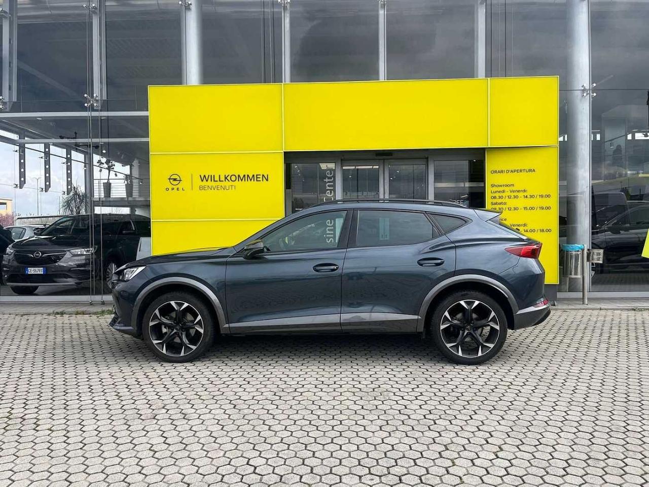 Cupra Cupra Formentor usata 23