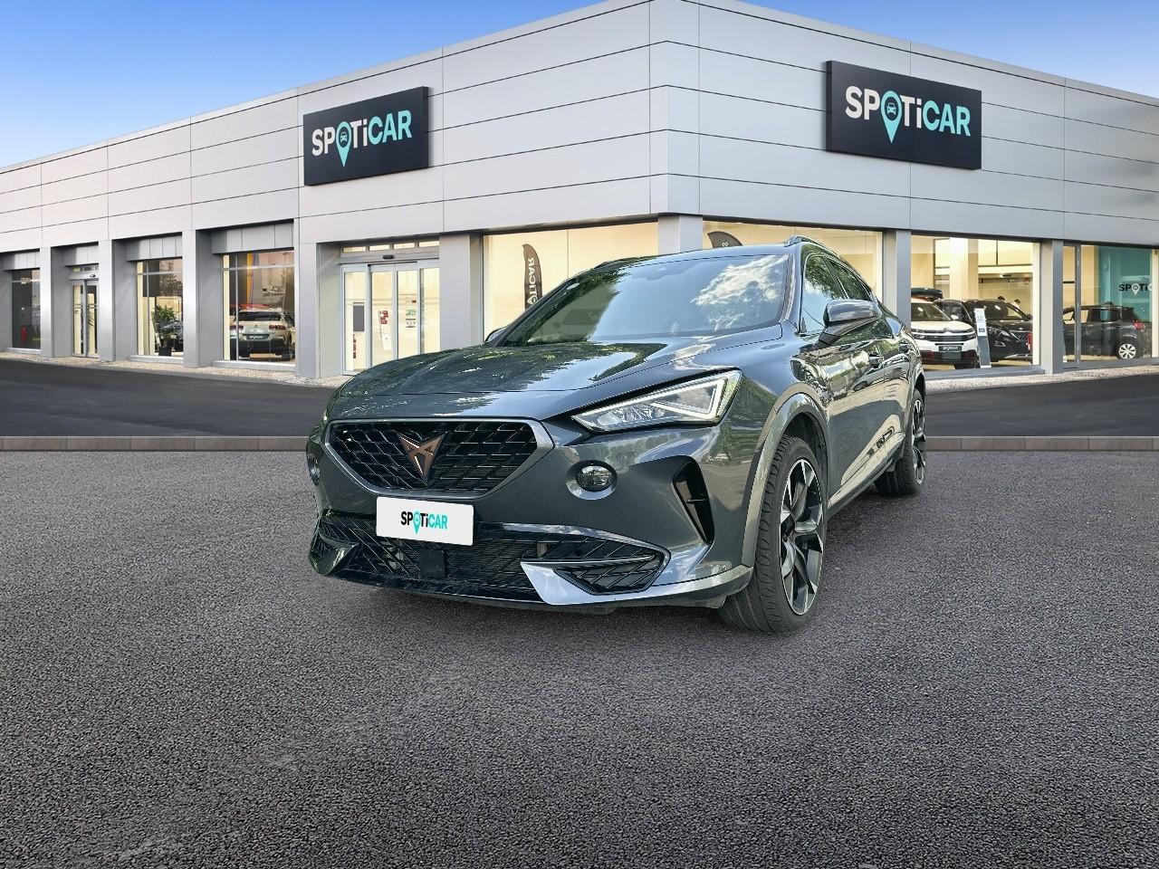Cupra Cupra Formentor FORMENTOR 2.0 TSI 4Drive DSG