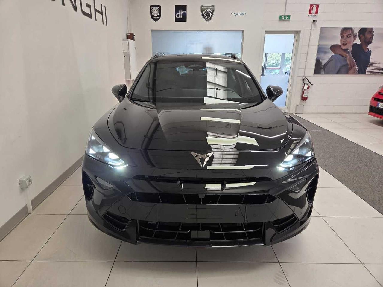 Cupra Cupra Formentor usata 11