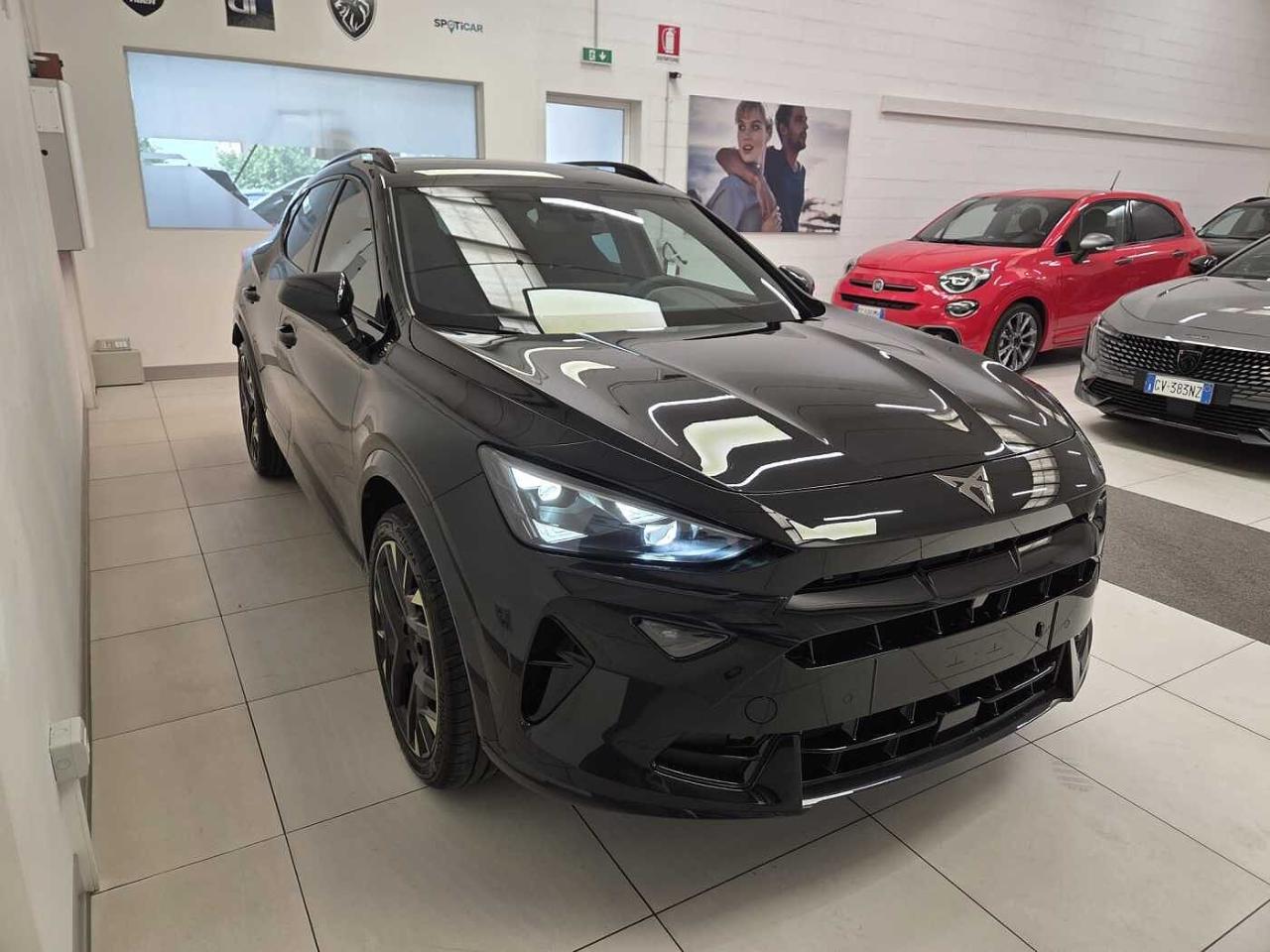Cupra Cupra Formentor usata 12