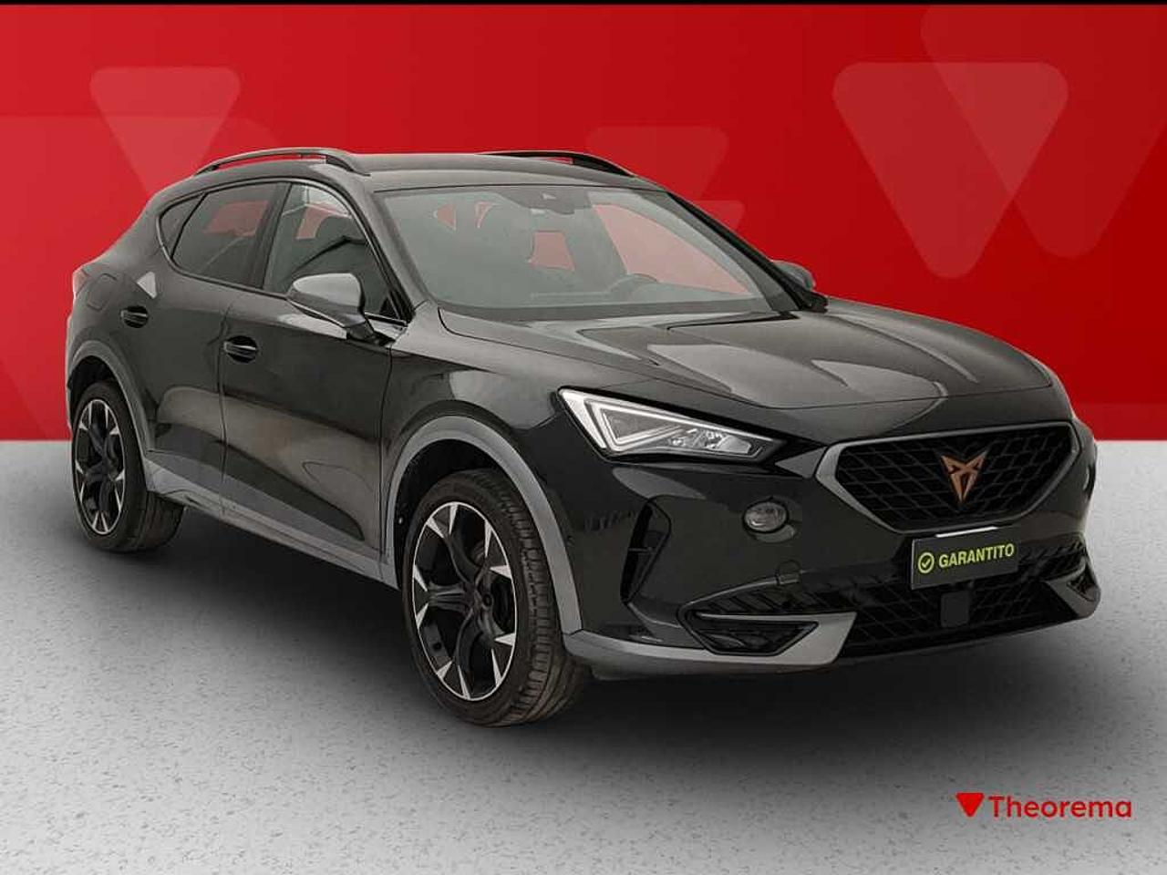 Cupra Cupra Formentor usata 24