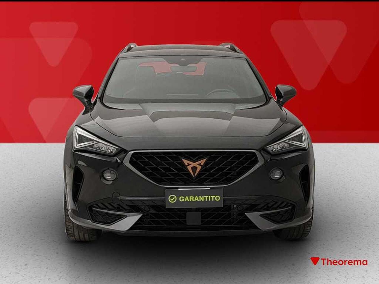 Cupra Cupra Formentor usata 25