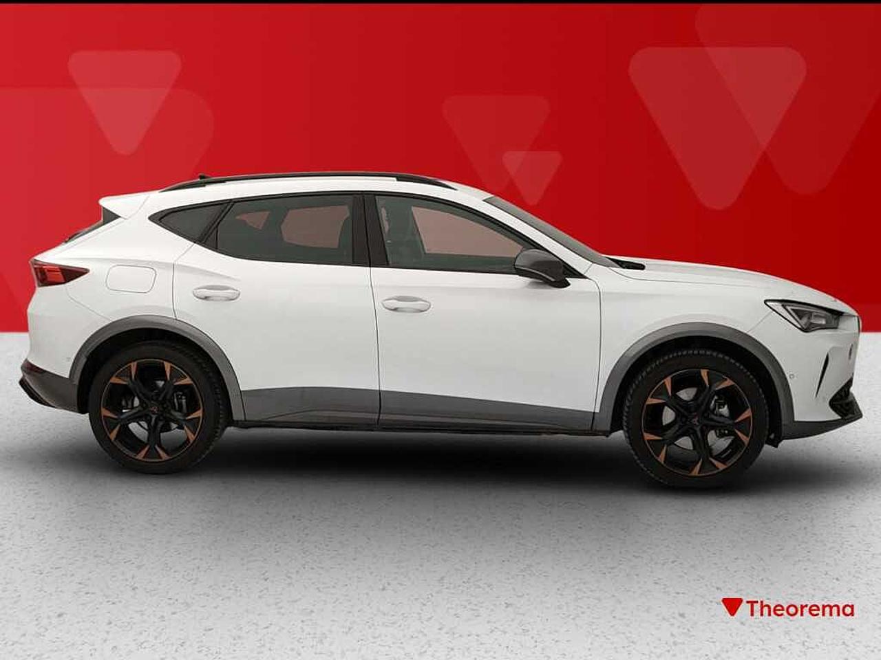 Cupra Cupra Formentor usata 23