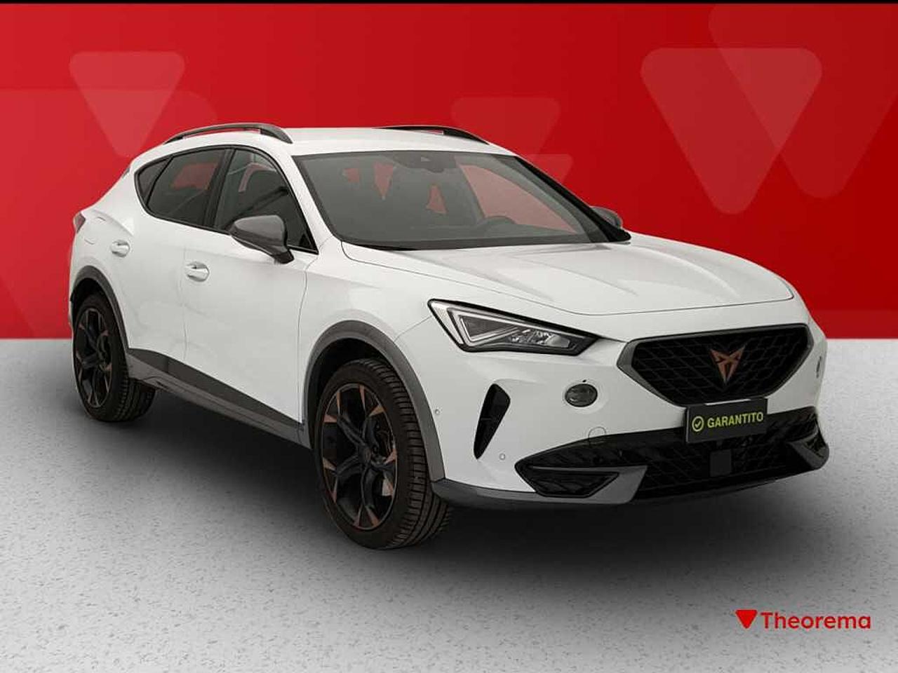 Cupra Cupra Formentor usata 24
