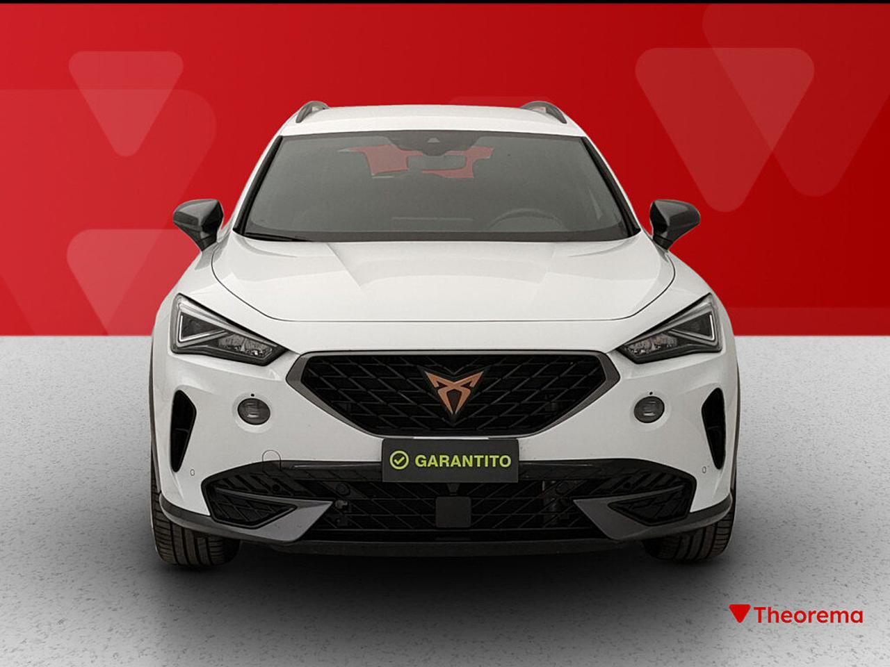 Cupra Cupra Formentor usata 25