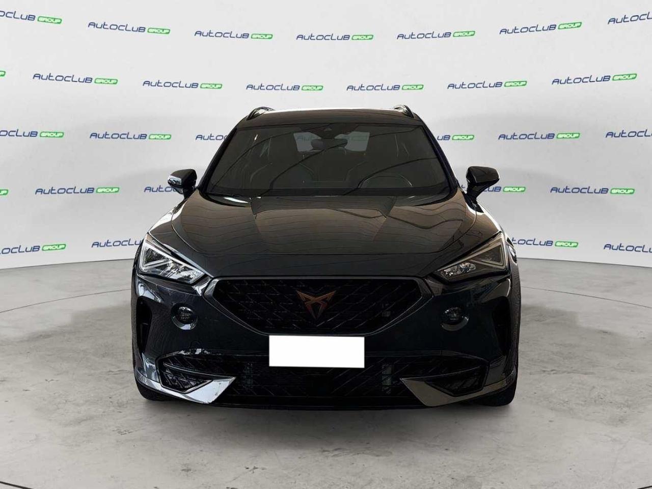 Cupra Cupra Formentor usata 11