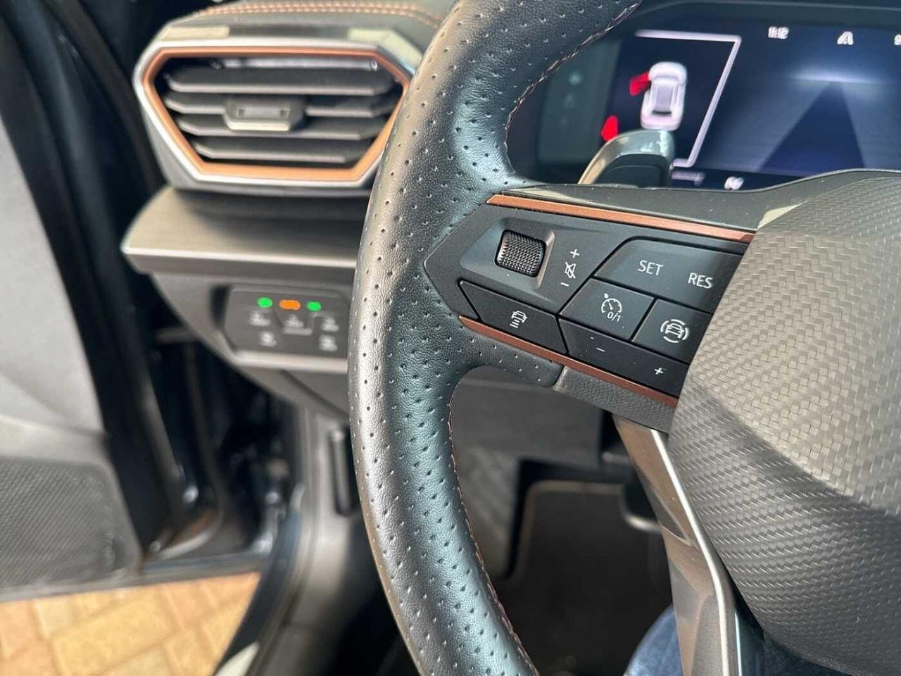 Cupra Cupra Formentor usata 13