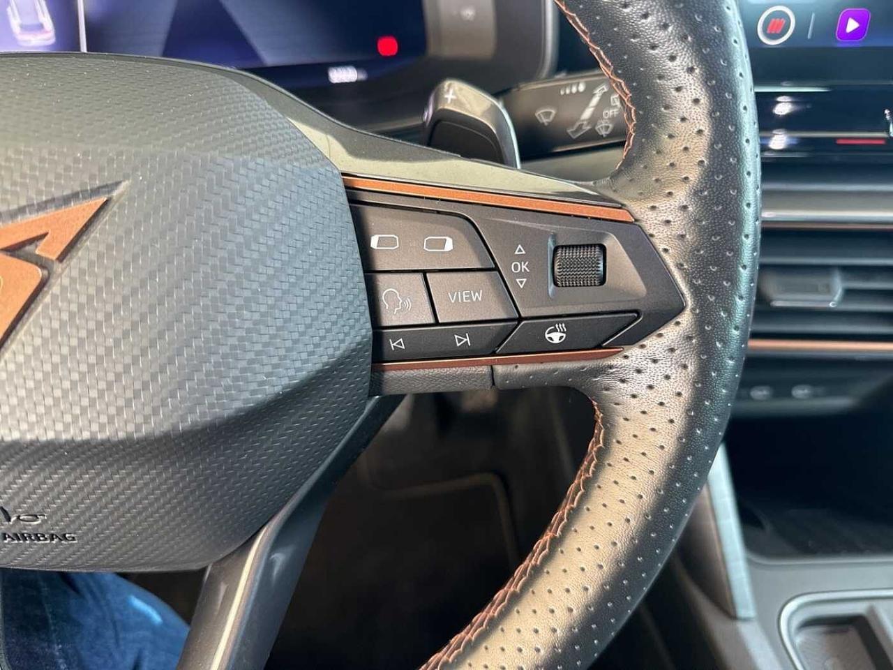 Cupra Cupra Formentor usata 14