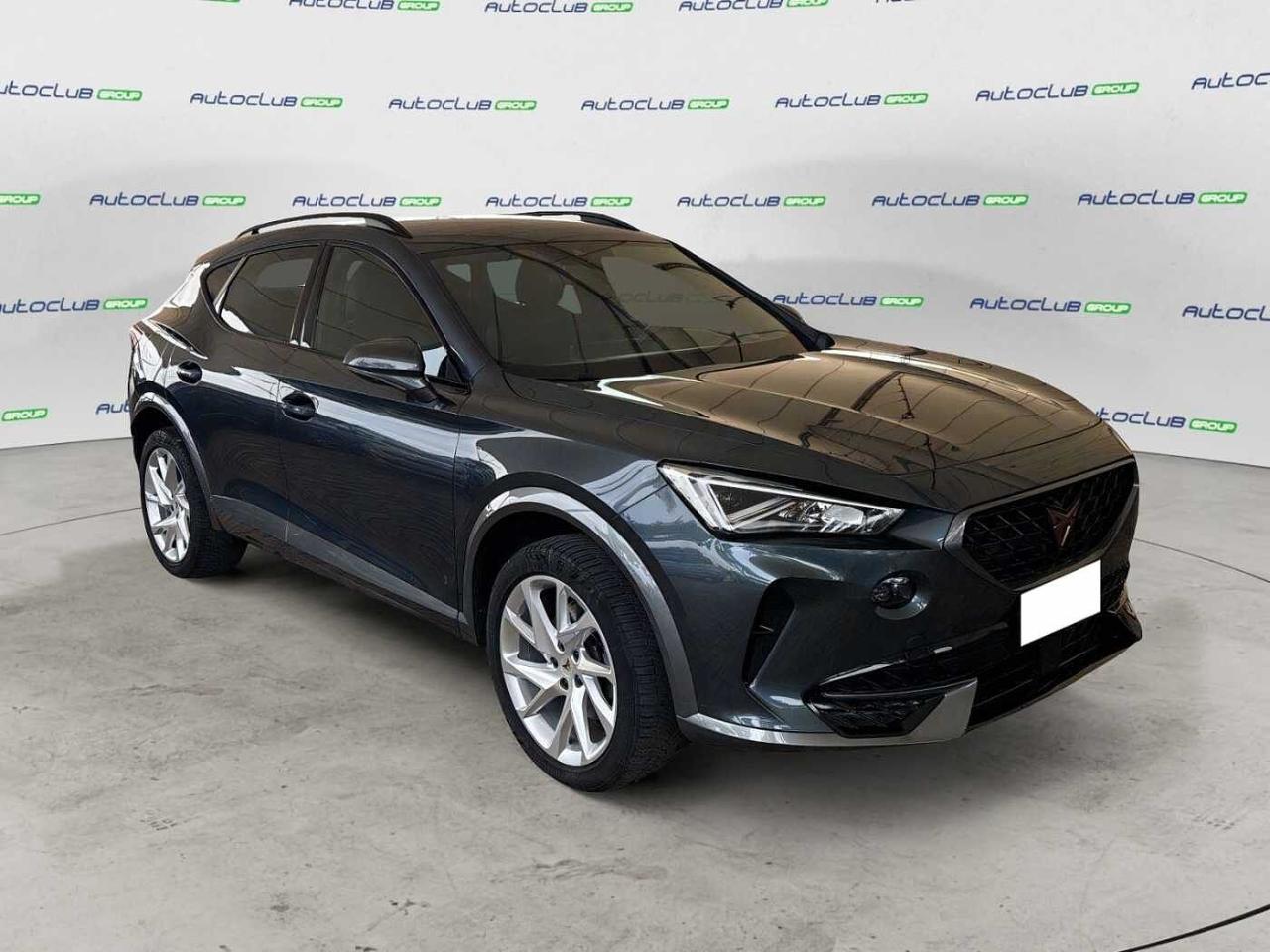 Cupra Cupra Formentor usata 18